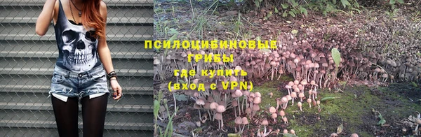 герыч Галич