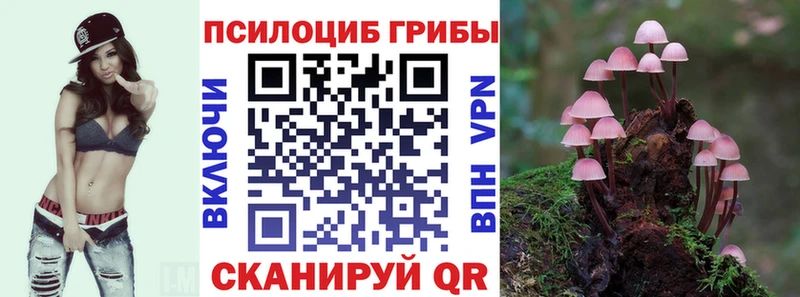 блэк спрут маркетплейс  Колпашево  Псилоцибиновые грибы Psilocybine cubensis  даркнет сайт 